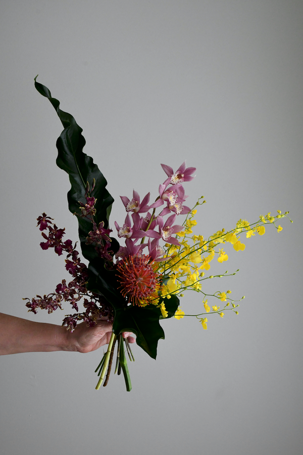ORCHIDS - Wildbloomsfloristry