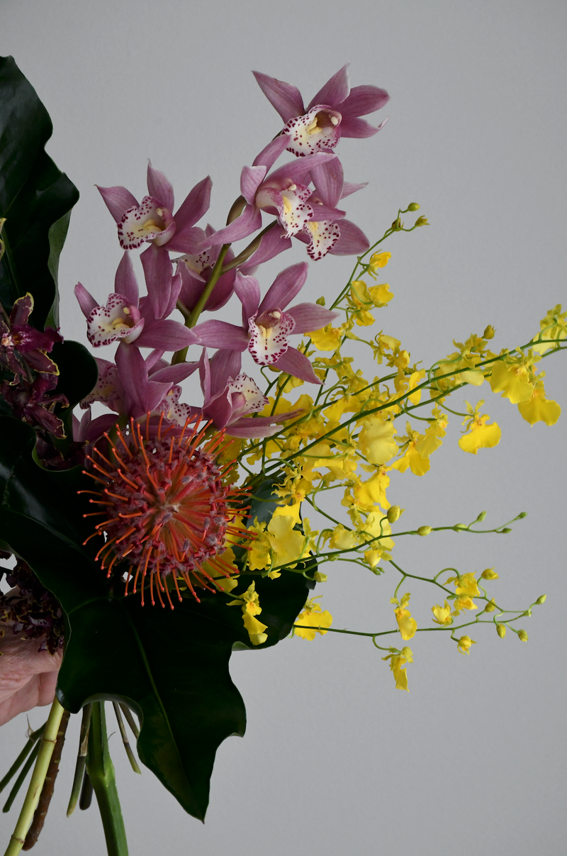 ORCHIDS - Wildbloomsfloristry